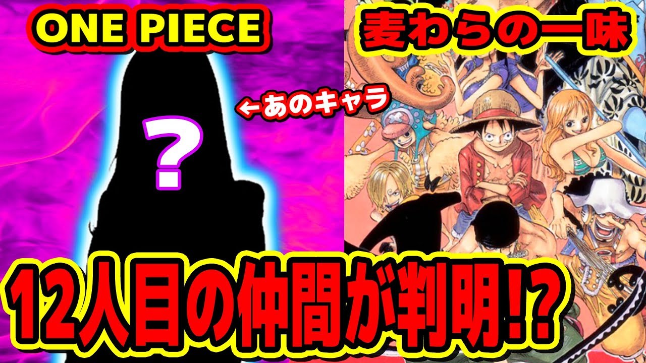 ワンピース！麦わらの一味12人目の仲間が判明!? 今後仲間になる仲間は