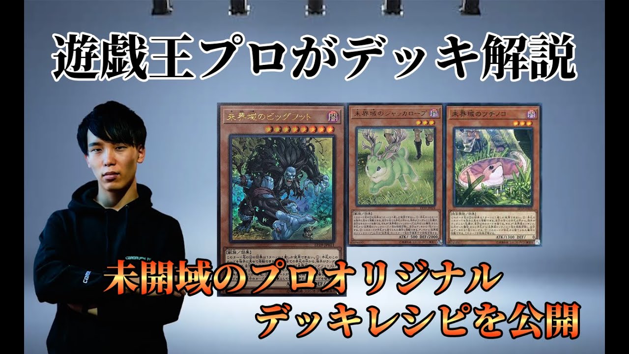 本格構築 未界域暗黒界デッキ スノウ グラファ ビッグフット ネッシー