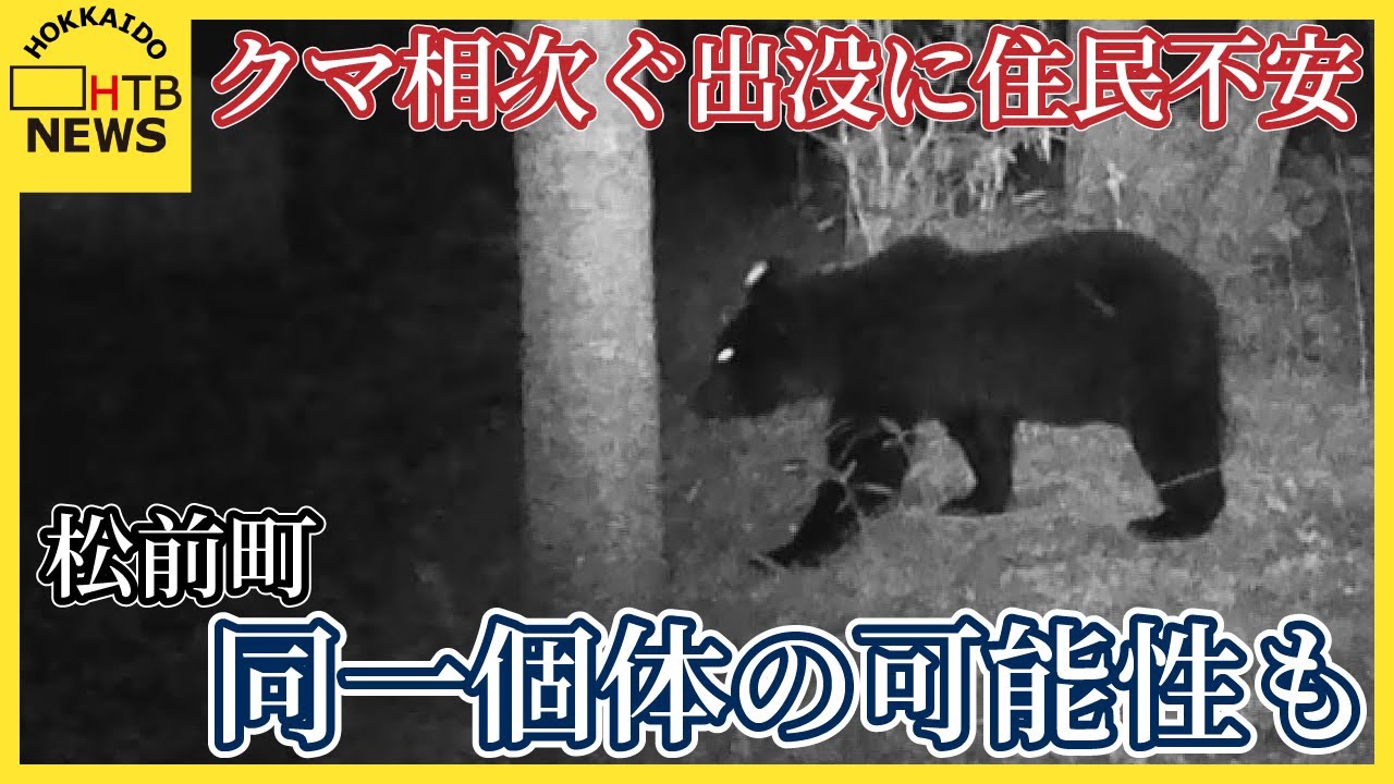 早朝に寺の境内を歩く体長1mのクマ 松前町で相次ぐ出没に住民不安 クリ