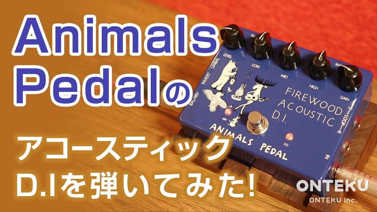 おんがく動画】Animals Pedal Firewood Acoustic D.I. を弾いてみた
