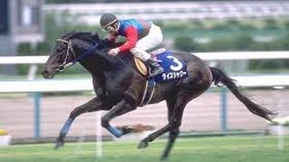 ライスシャワー！メジロマックイーン3連覇を阻む 第141回 天皇賞（春