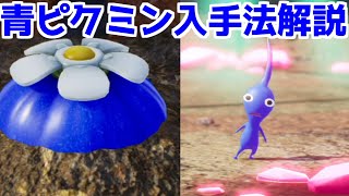 ピクミン4 体験版】青ピクミンの入手法 青オニオンの運び方 紹介 - YouTube