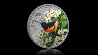 Colourful Birds: Baltimore Oriole – 1 oz. Fine Silver Coin | The