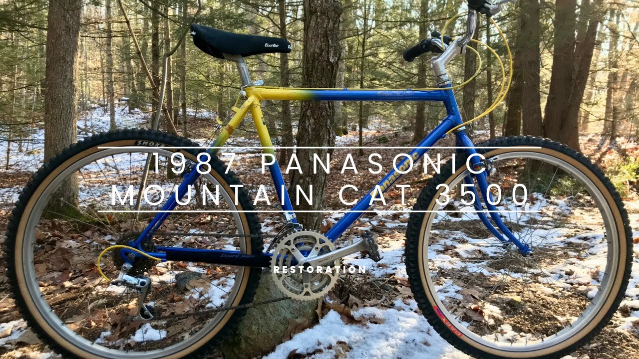1987 Panasonic Mountain Cat 3500 - Free Garbage Bike To Classic