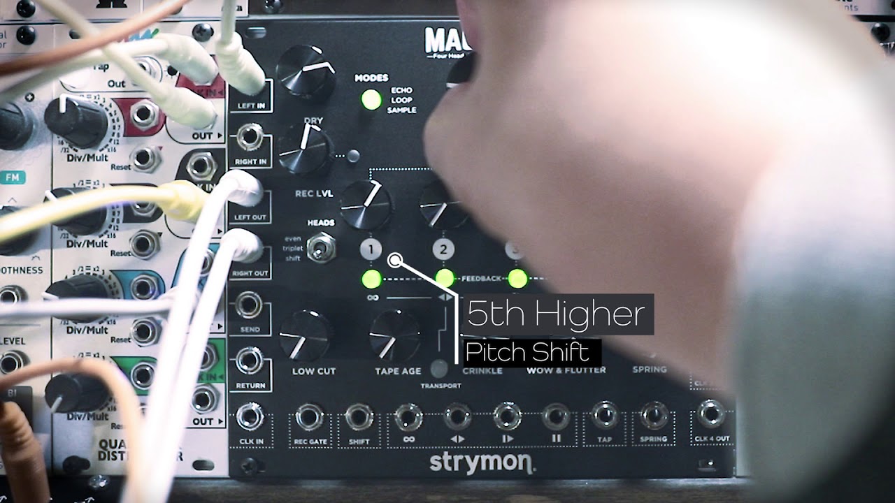 strymon | MAGNETO | ユーロラック・モジュラーシンセ | Five G music