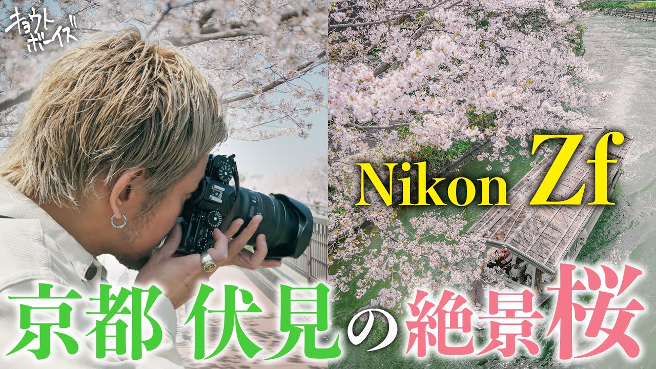 初心者におすすめのコスパが最高のカメラ、Nikon D3300でマクロ撮影を