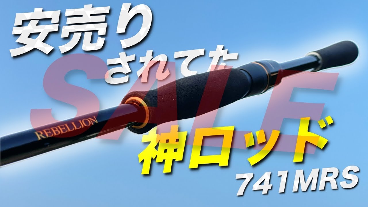 That Daiwa rod was on sale! I left the fishing tackle shop and