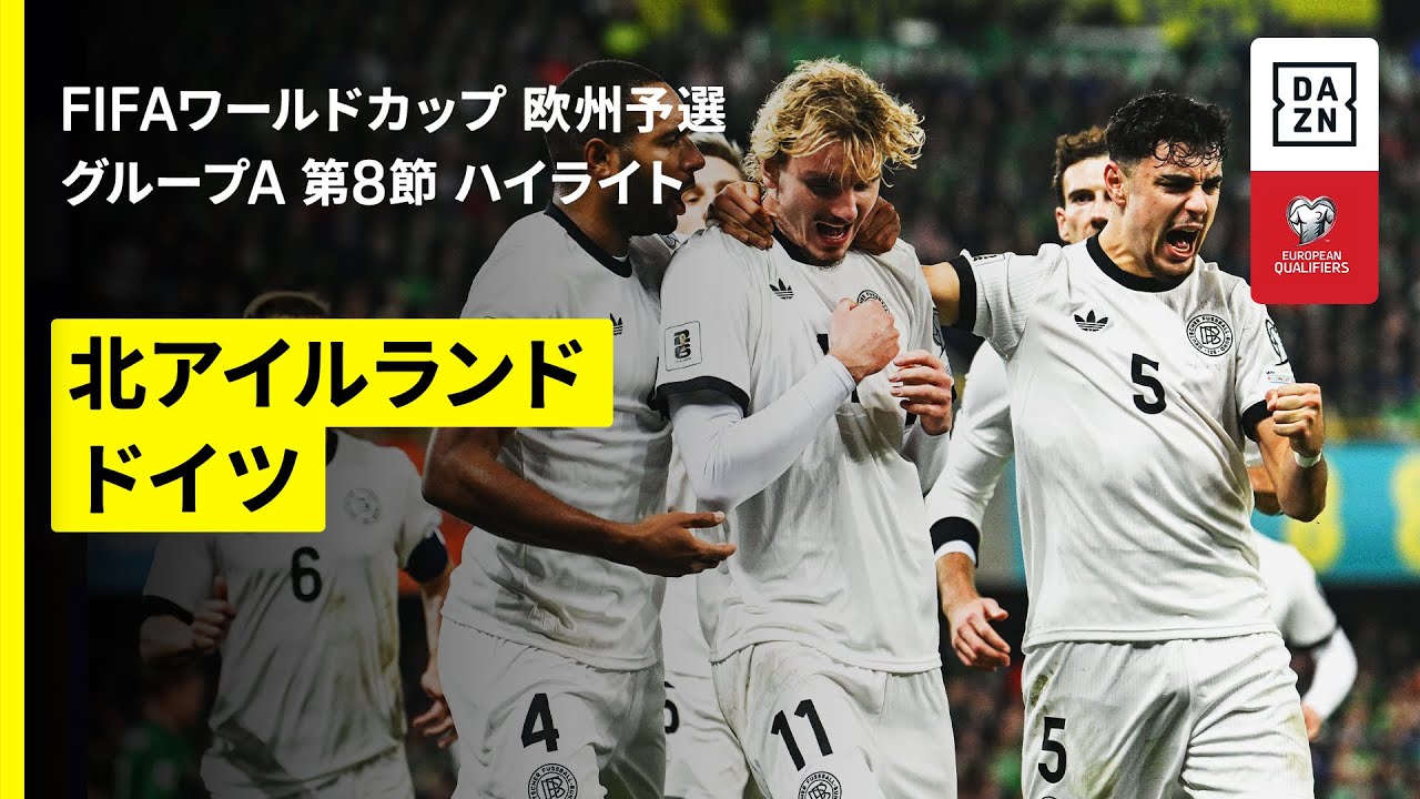 ドイツ代表でも輝けなかったヴィルツ 現地紙は「決定的な要素では