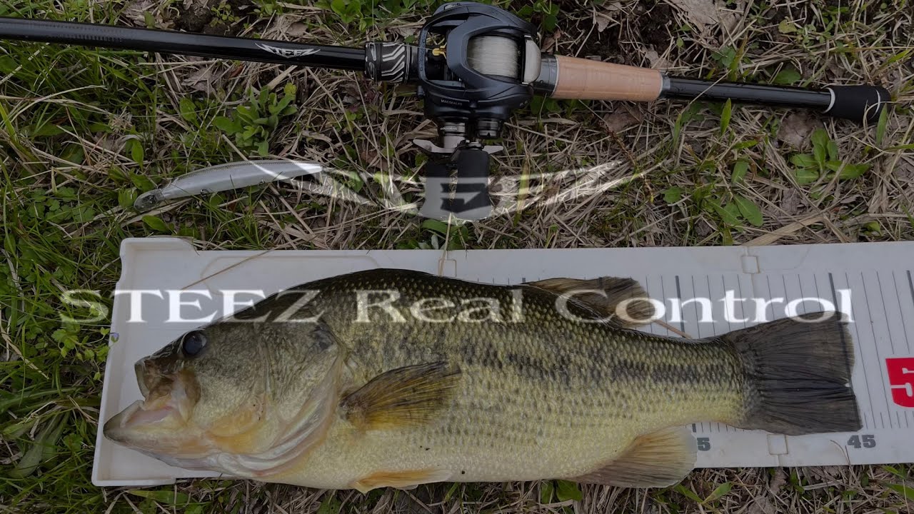 STEEZ Real Control】 C610M ／C70MH-LM 入魂 - YouTube