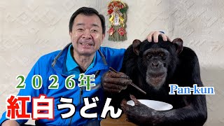 Pan-kun's New Year 2026 🎍 [Part 2] Delighted with Kagawa