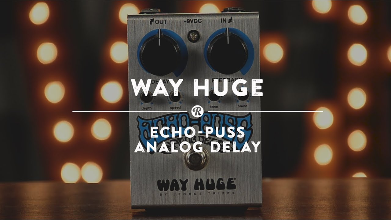Way Huge WHE702S Echo Puss Analog Delay | Reverb