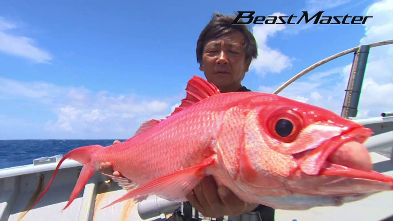 More! Electric Power Game 2016 Beast Master 3000XP・XS Mid-Deep