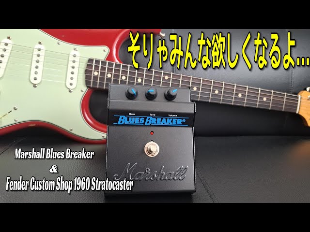素晴らしきトランスペアレント！】Marshall Blues Breaker + Fender