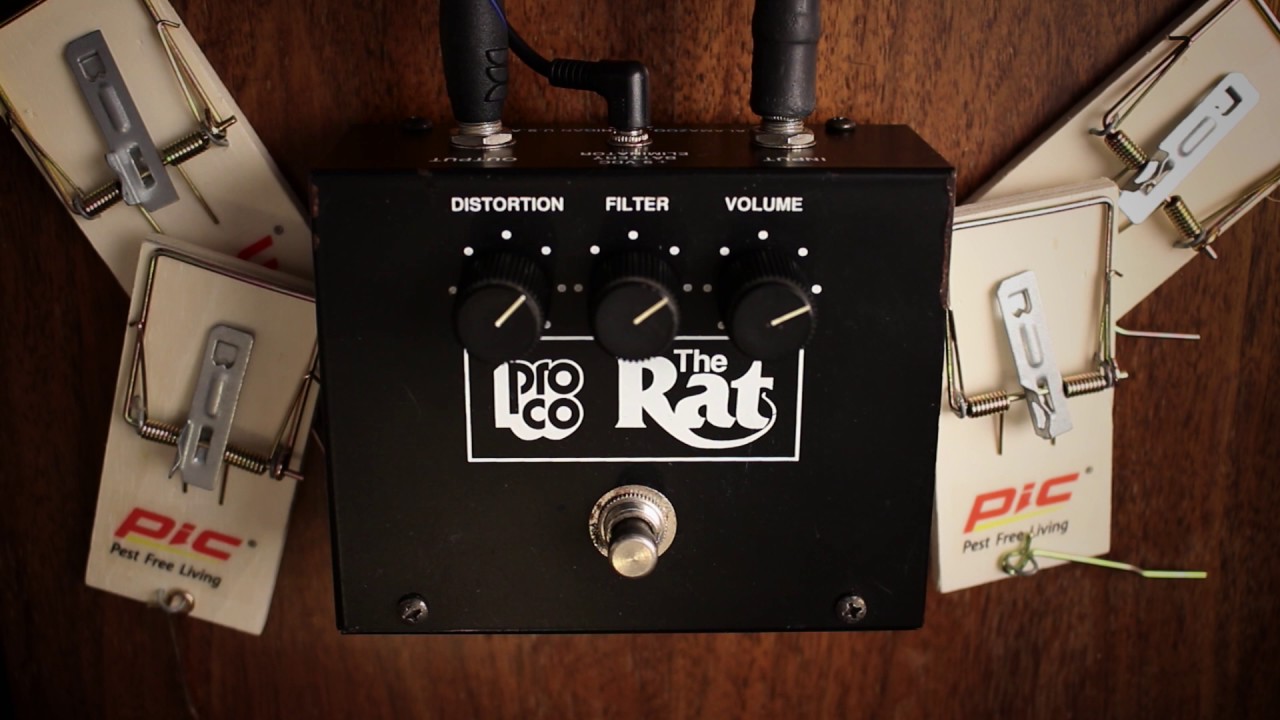 ProCo Rat - Big Box Reissue 1991 - YouTube