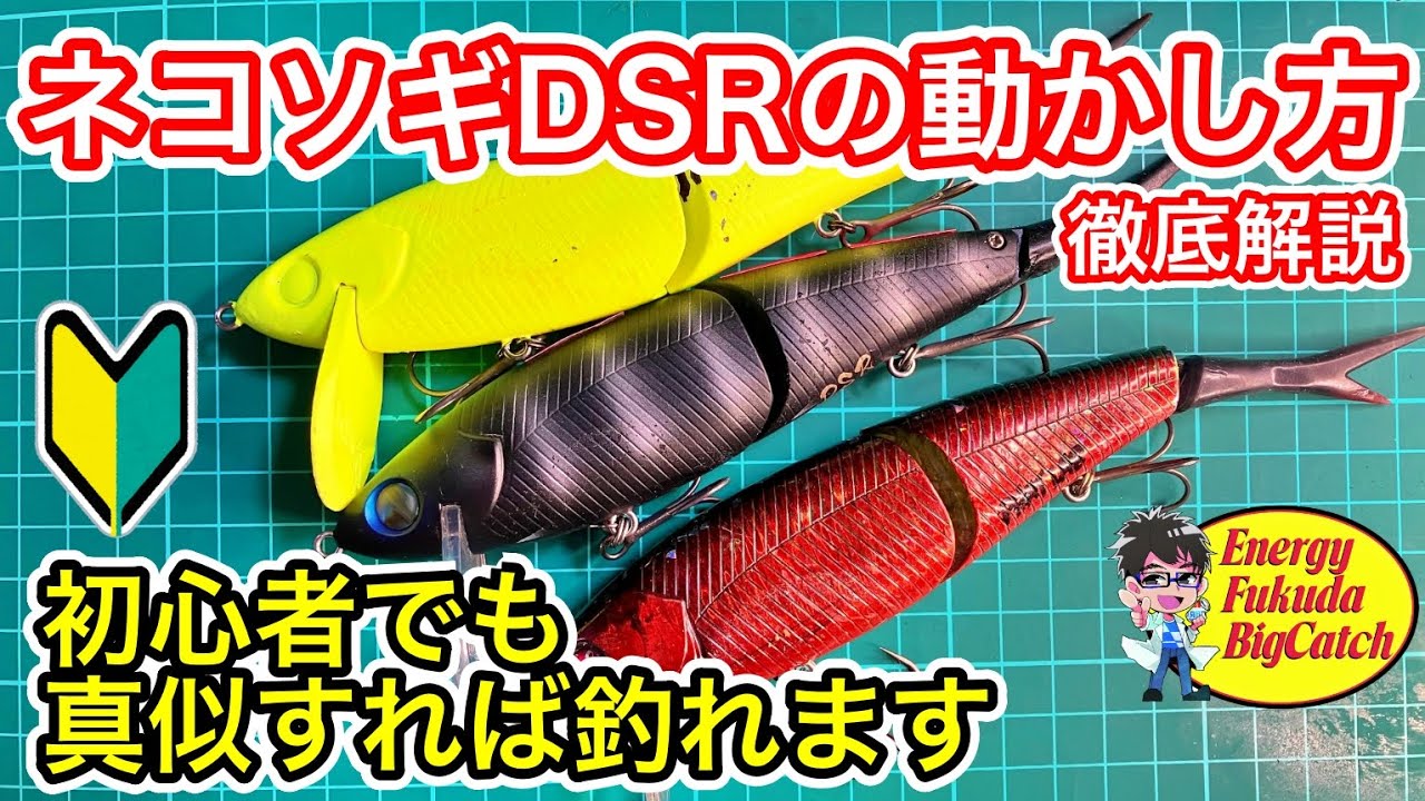 デカバスが釣れるネコソギDSRの使い方を詳しく解説。琵琶湖の冬の定番