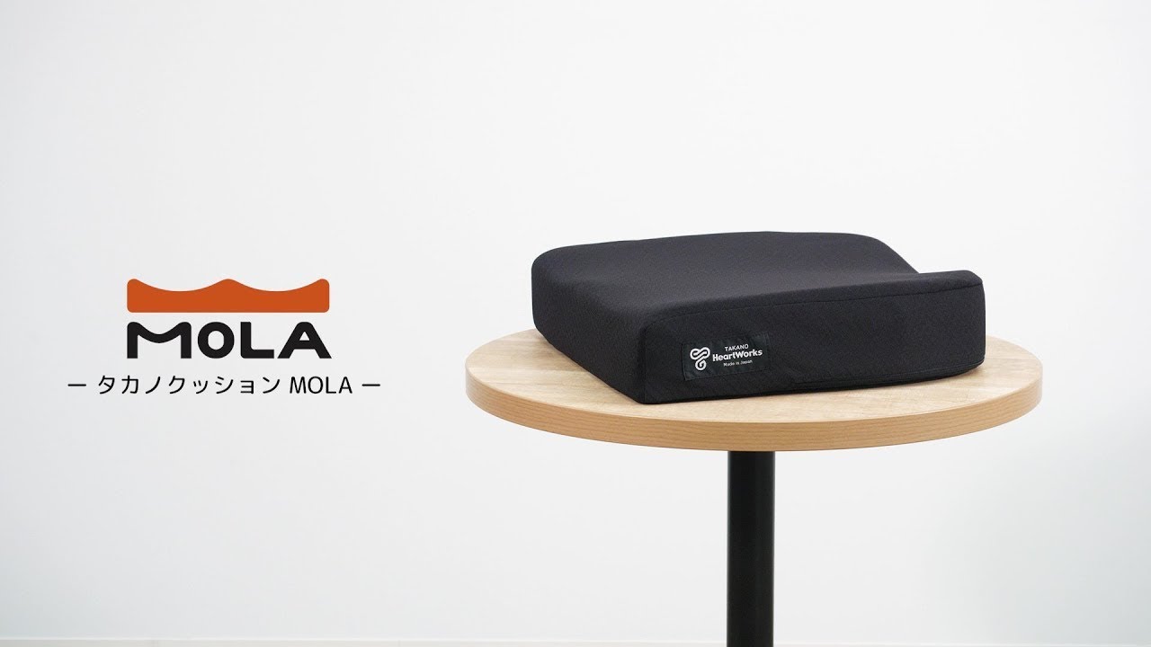 車いす用クッション タカノクッションMOLA（モーラ） | タカノハート