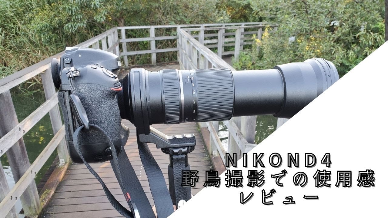 レビュー】NikonD4での野鳥撮影について│amedia-online
