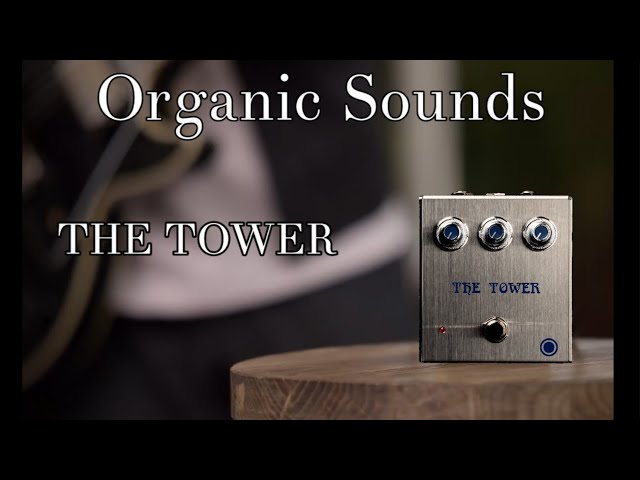 驚きの音!!】ついに手に入れたあのエフェクター！待望のTHE TOWER