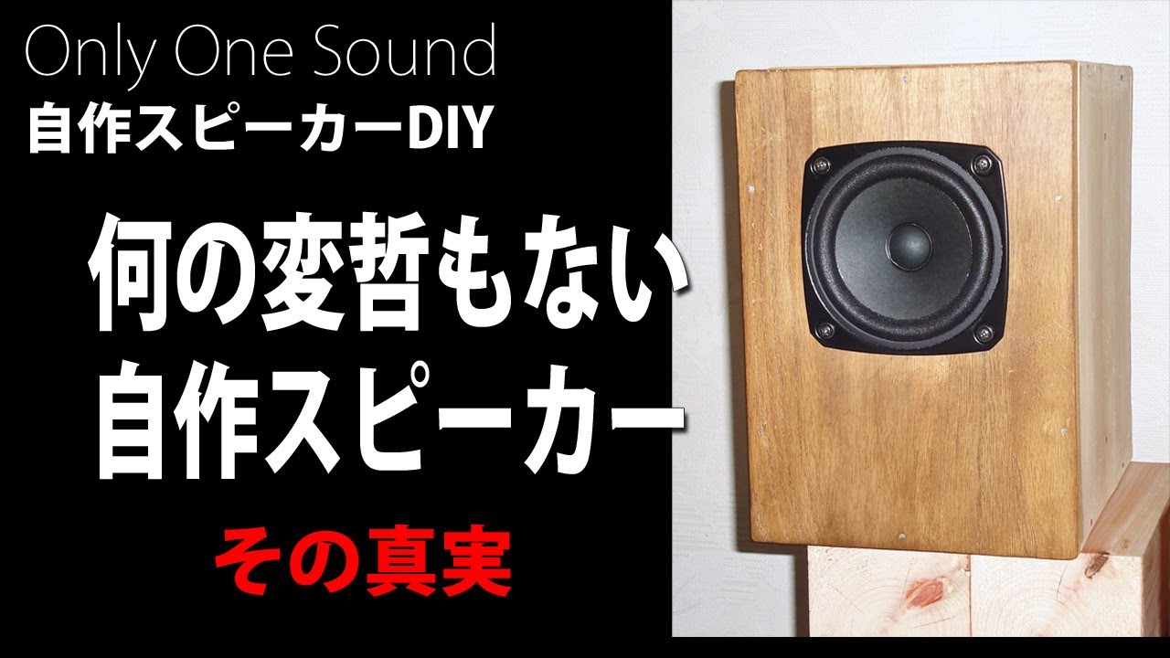 凡庸の内に秘めた優しさ】Fostex P1000ファルカタ6L背面バスレフKB-02