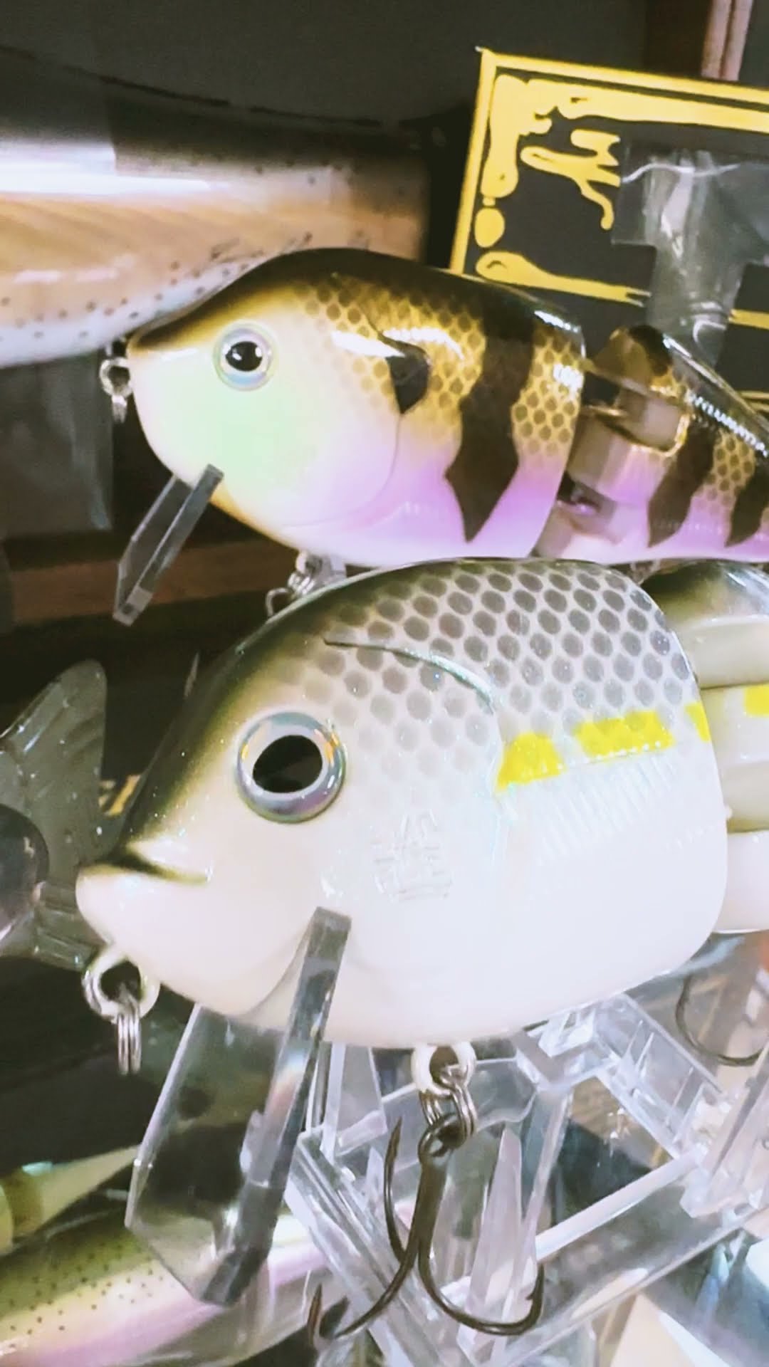 🚨 Toxic Baits ABS Wade Hoggs & Wade Hoggs Jr. Are Here