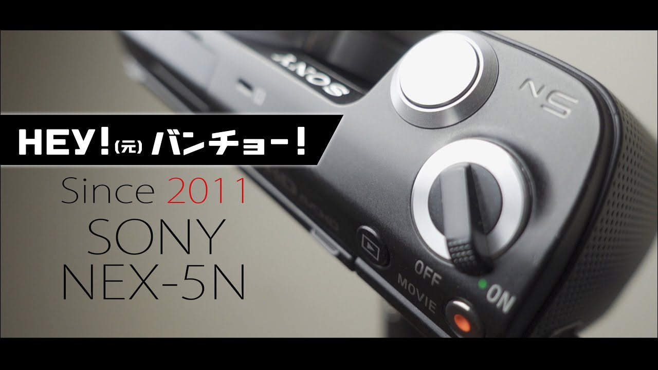 SONY NEX-5Nは高感度だけじゃなく低感度のハイライトもよく粘る優秀な