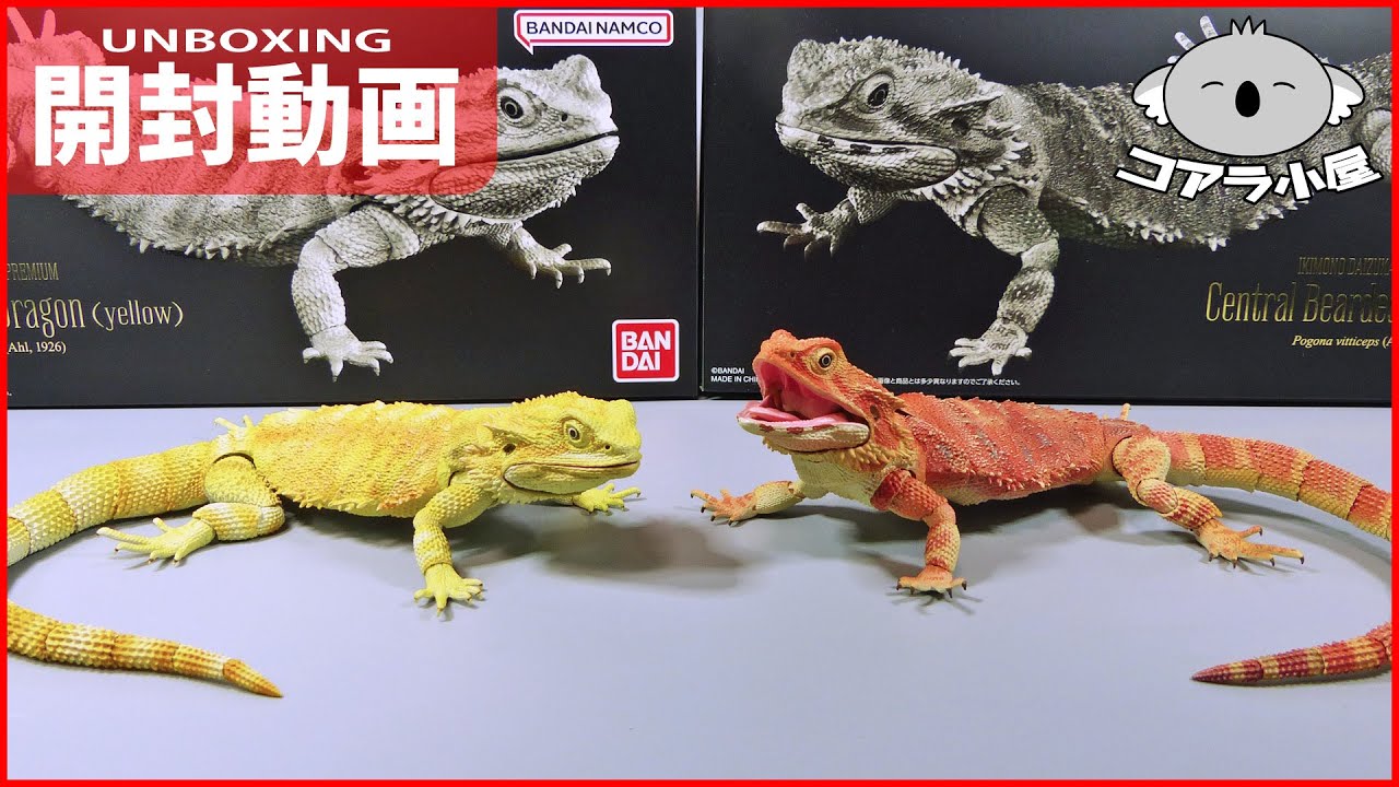 Unboxing the Bearded Dragon from the Premium Living Encyclopedia
