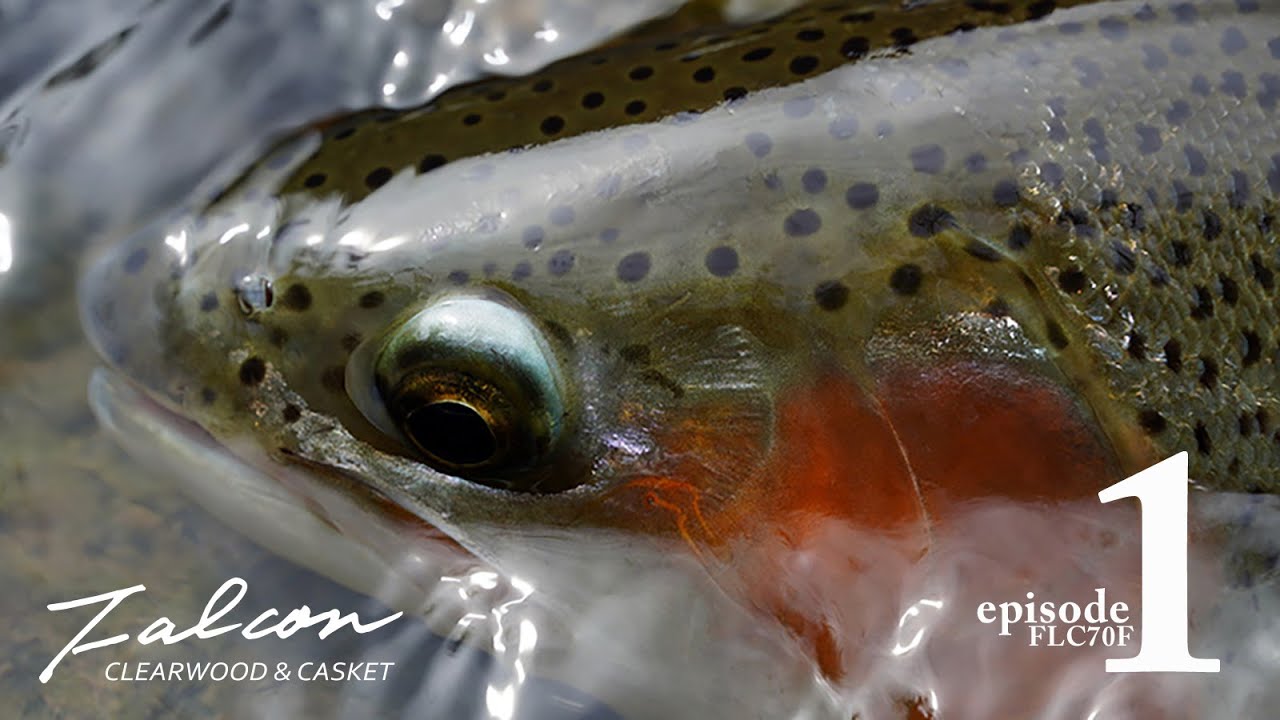 Casket カスケット｜トラウト、バス、ソルトルアー専門店｜通販可能｜