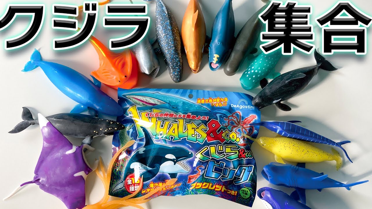 レア出ろ！】アンドコ新作！クジラ&co.ビッグ【デアゴスティーニ】新
