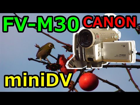 miniDVのダビングに！Canon ビデオカメラ DM-FV30