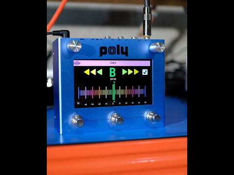 Poly Effects Beebo Modular System - Muziker