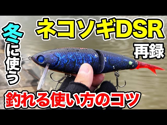 バス釣り】ネコソギDSRの使い方やアクション!!チューニングを見直して