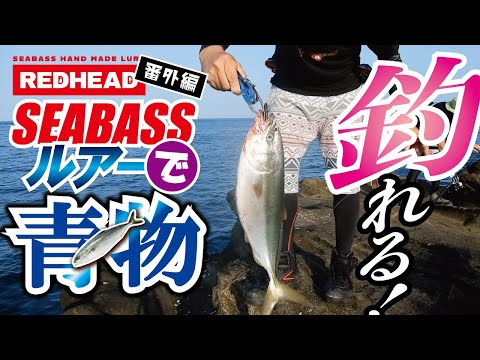 青物初心者でも安心！！ シーバスルアーで青物がよく釣れるトップ2の