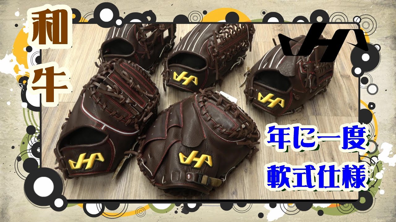 年に一度の軟式和牛】マニア受けするハタケヤマ軟式和牛シリーズを