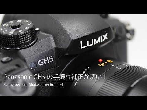 Panasonic LUMIX GH5 ボディ DC-GH5-K 買取価格｜フジヤカメラ