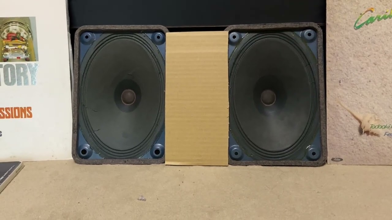 Telefunken/Isophon P1826 ドイツヴィンテージスピーカー 女性