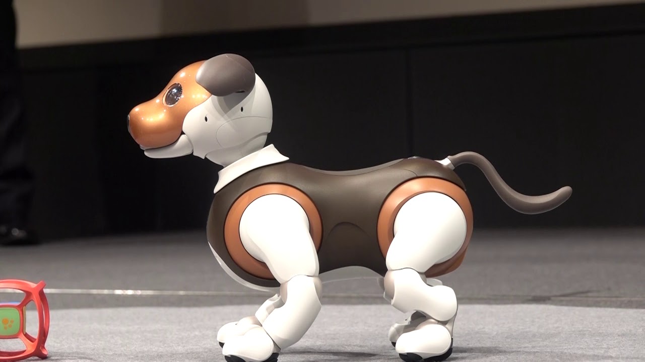 ソニー「aibo」、限定カラー“チョコエディション”＆新サービス「aiboの