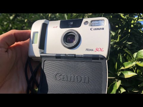 Canon Sure Shot Del Sol • Auto Boy SE • Prima Sol • Fully Solar