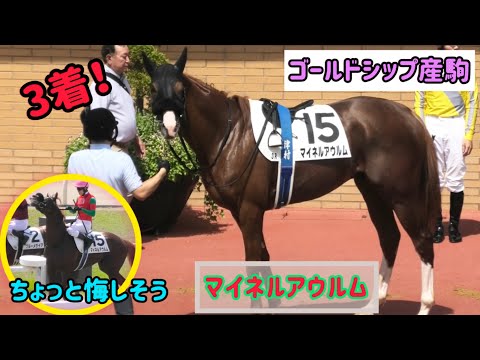 Gold Ship's offspring] Another disappointing third place finish