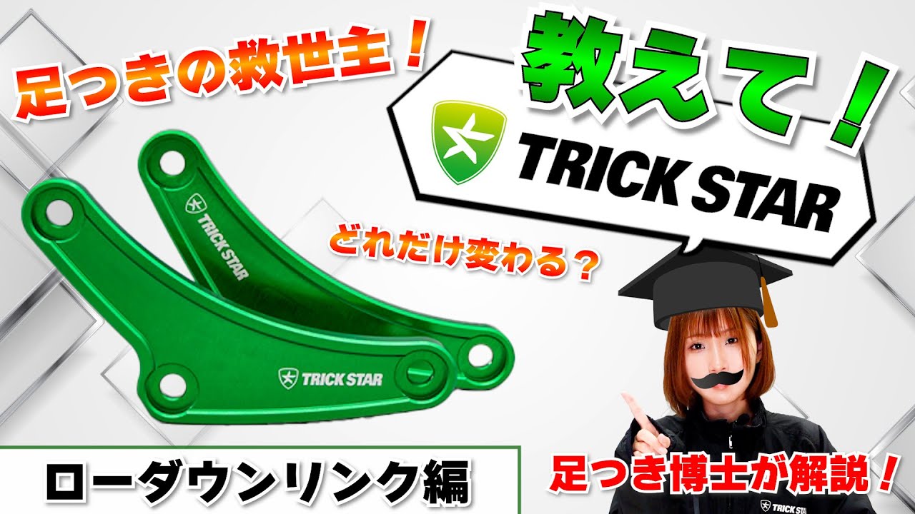 トリックスター / Ninja ZX-6R (24-26) ローダウンリンクキット