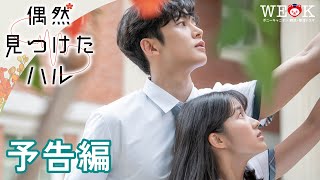 韓国ドラマ「偶然見つけたハル」｜公式サイト