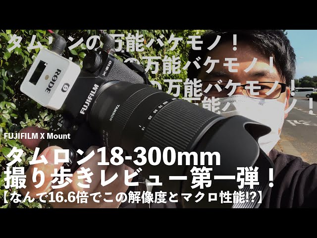 えっ、16.6倍でこの写り!?TAMRON18-300mmF3.5-6.3が高画質でマクロで手
