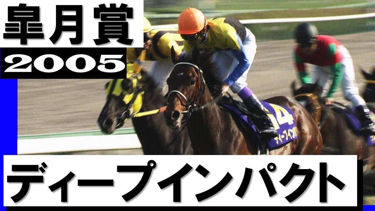 競馬】日本ダービー ドウデュース レプリカゼッケン 武豊 2022【当選