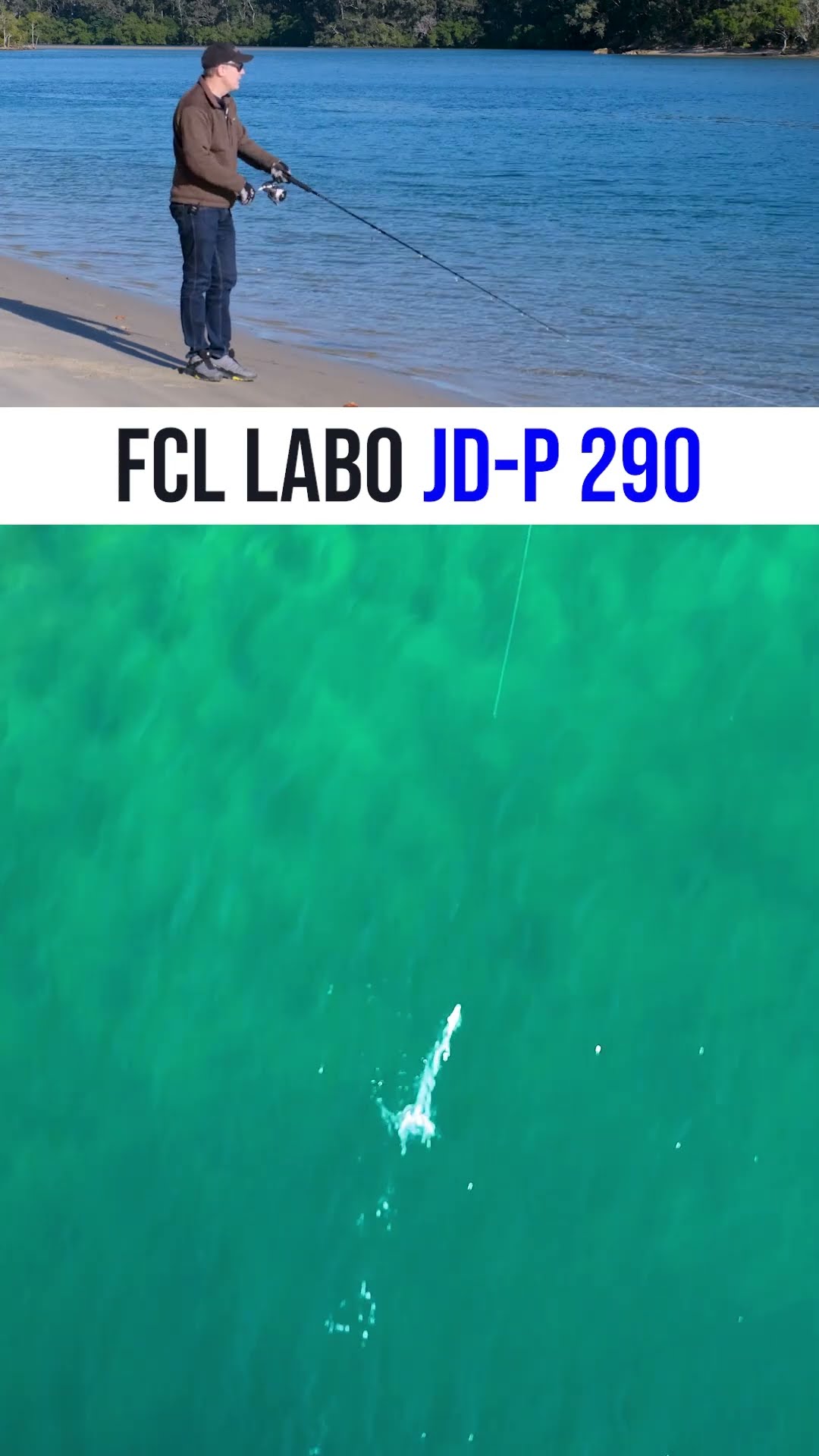 FCL Labo JD P 290 Lure Swimming - YouTube