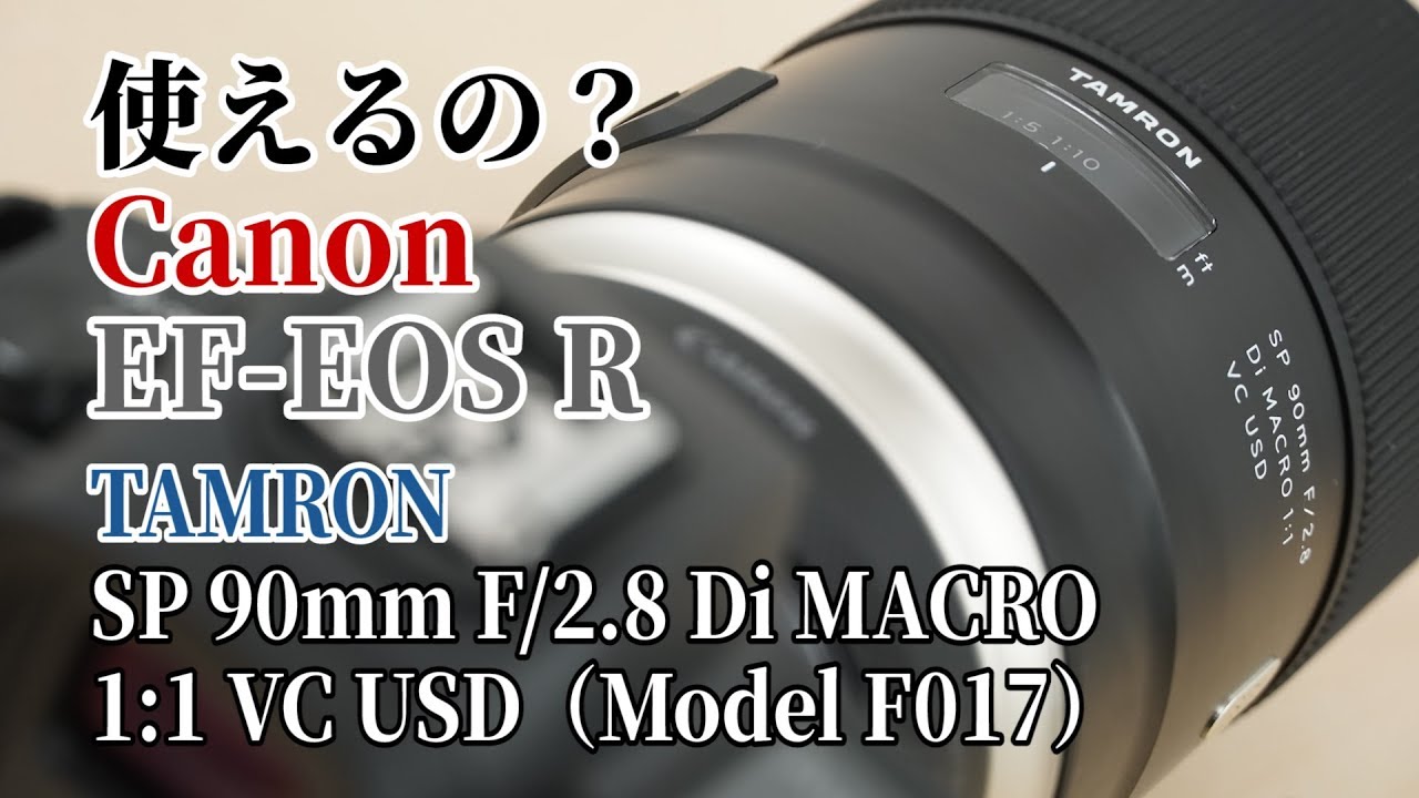 使えるの？】キヤノン マウントアダプター EF-EOS Rでタムロン SP 90mm
