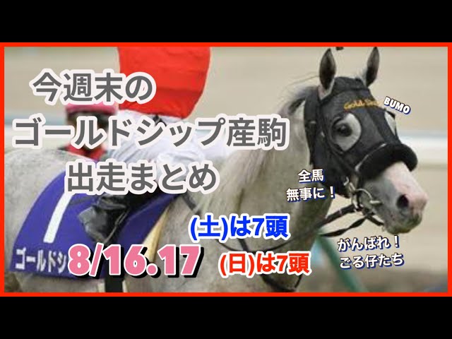 Gold Ship] Race information for Gold Ship's offspring this weekend