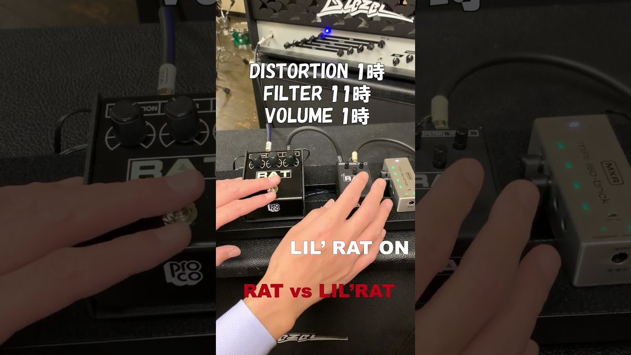 RAT Distortion | LIL' RAT | モリダイラ楽器