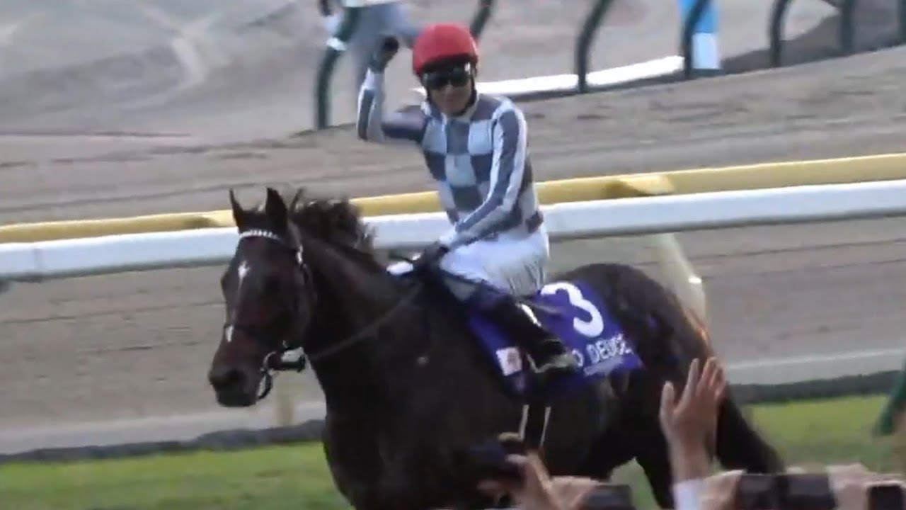 ジャパンカップ 1着ドウデュース号（武豊騎手）2024年11月24日（日