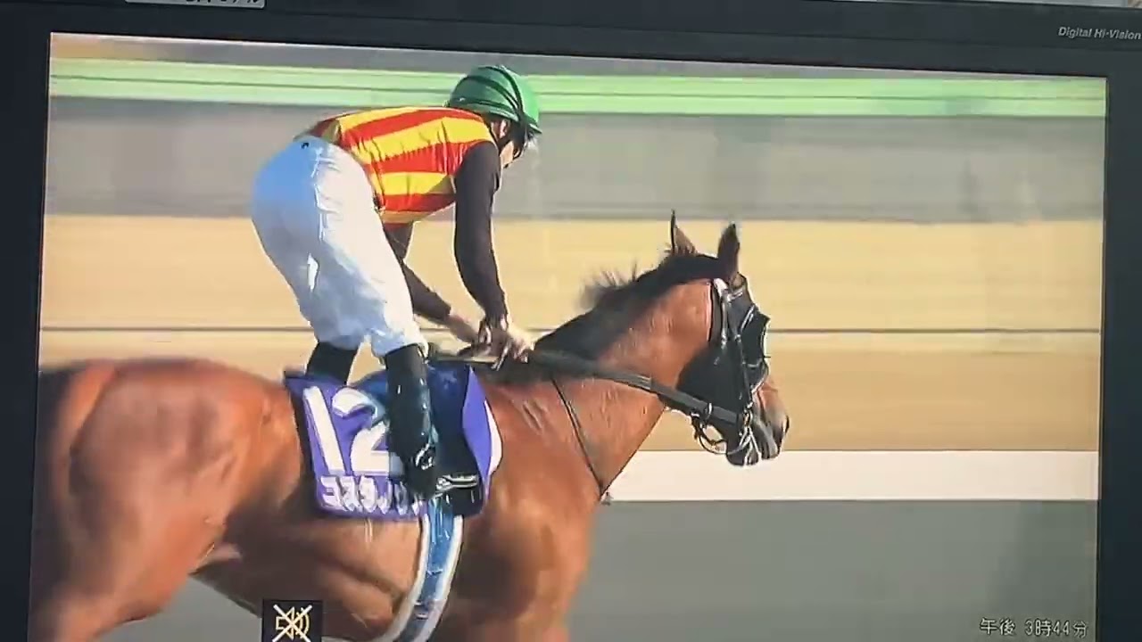 2022 Satsuki Sho (GⅠ) | Geoglyph | JRA Official - YouTube