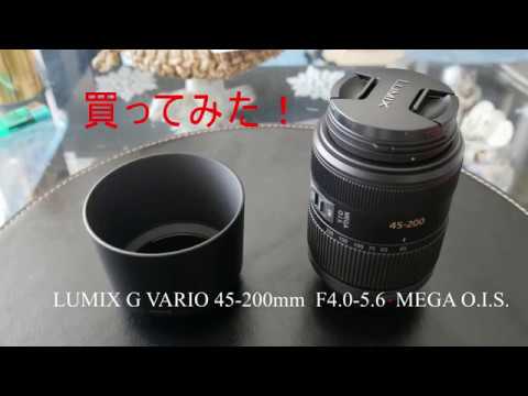 LUMIX G VARIO 45-200mm F4.0-5.6 MEGA O.I.S. テスト / GH5 手持ち