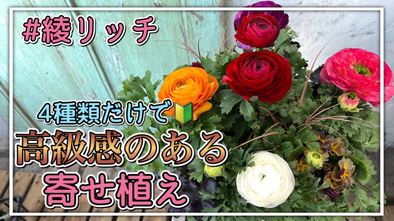 Plantery Dojo] I put together some chic Ayarich to create a grown